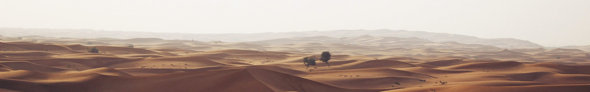 пˮ()Ƽ޹˾